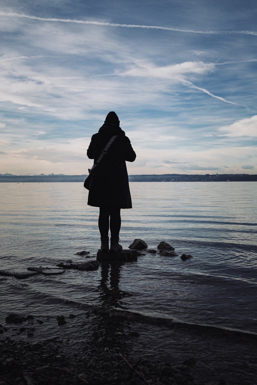silhouette of person by bavarian lake at dusk